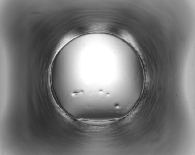 X0000086911386200704301028