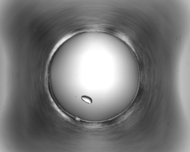 X0000086911387200704301028