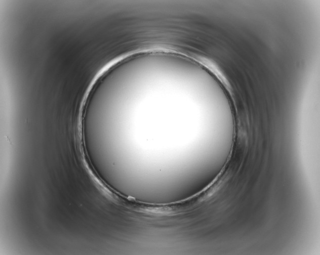 X0000086911388200704301028