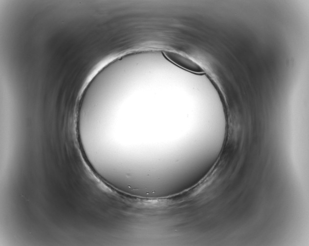 X0000086911390200704301028