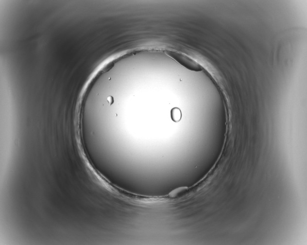 X0000086911392200704301028