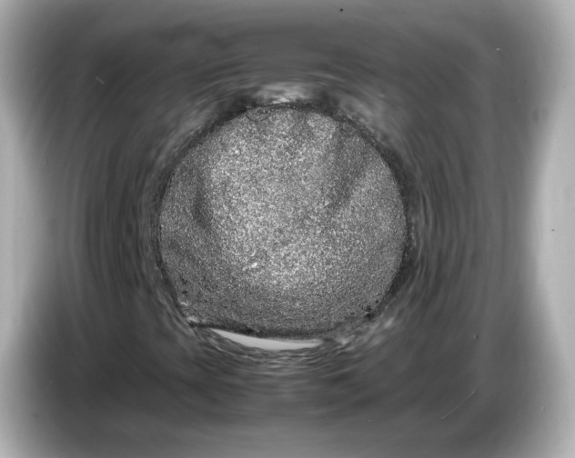 X0000086911393200704301027