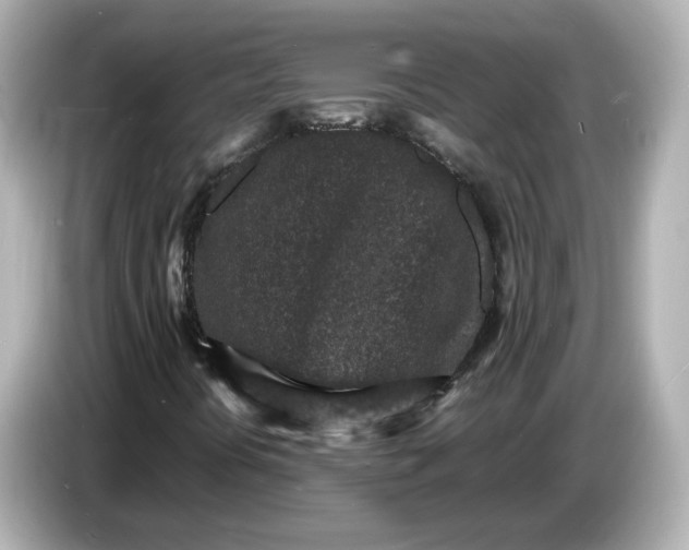 X0000086911394200704301027