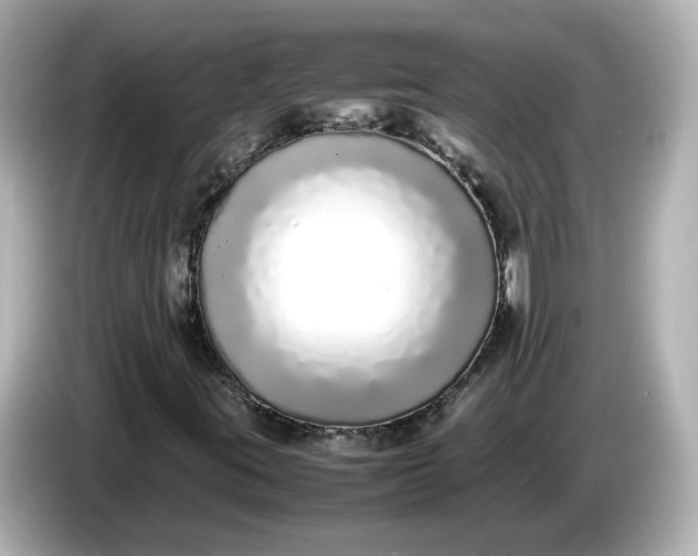 X0000086911395200704301028