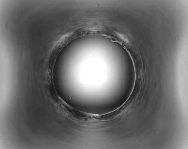 X0000086911398200704301028