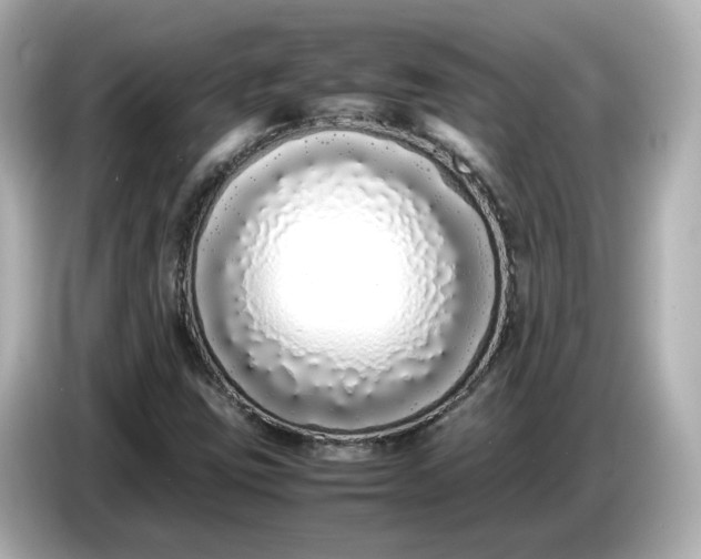 X0000086911403200704301028