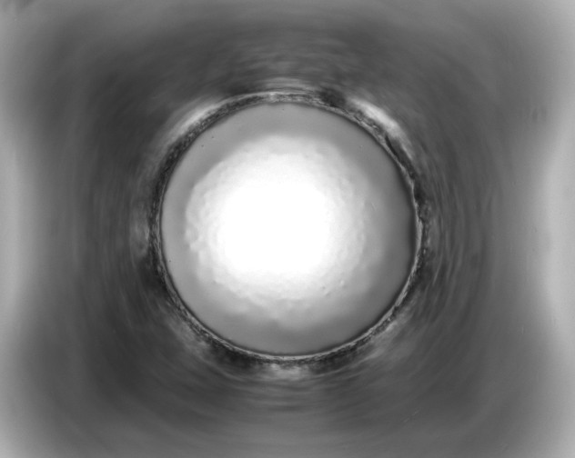 X0000086911407200704301028