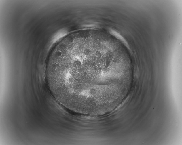 X0000086911411200704301028