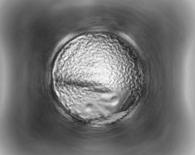 X0000086911413200704301028