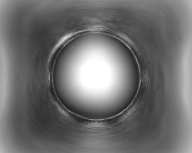 X0000086911414200704301028