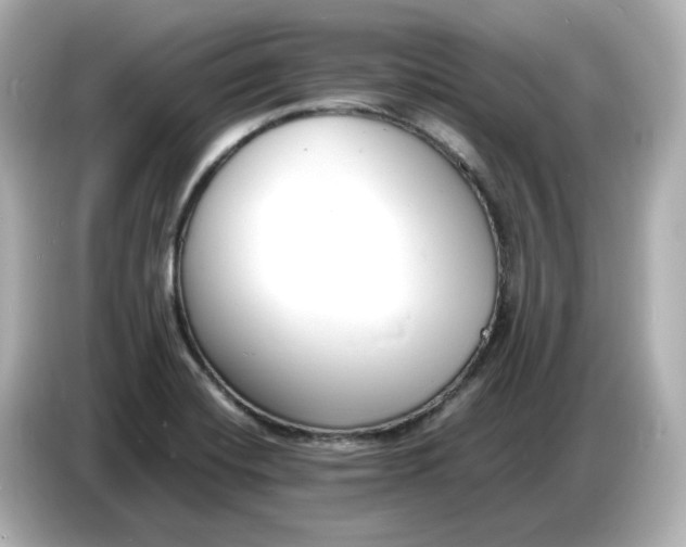 X0000086911420200704301028