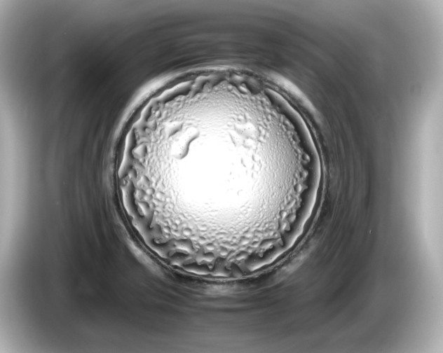 X0000086911421200704301028