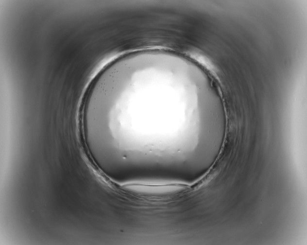 X0000086911423200704301028