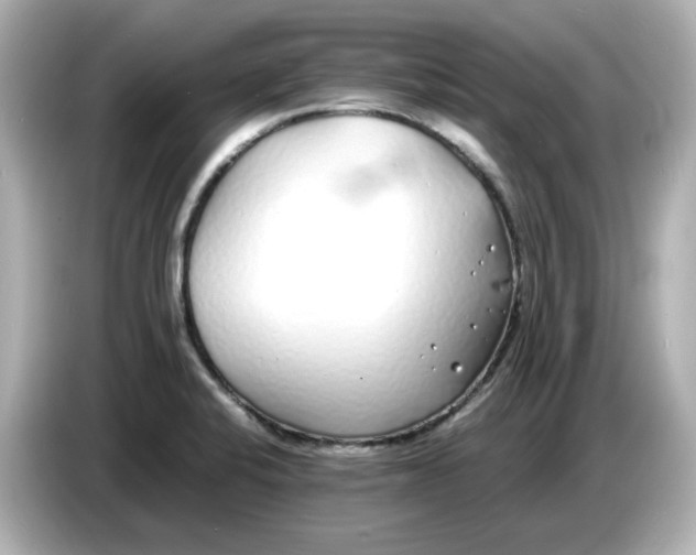 X0000086911424200704301028