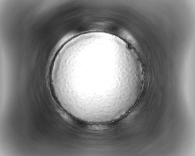 X0000086911427200704301028