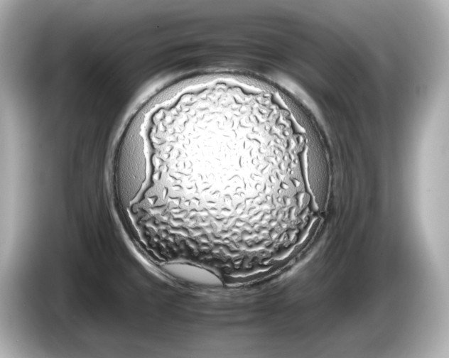 X0000086911429200704301028