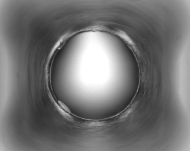 X0000086911430200704301028