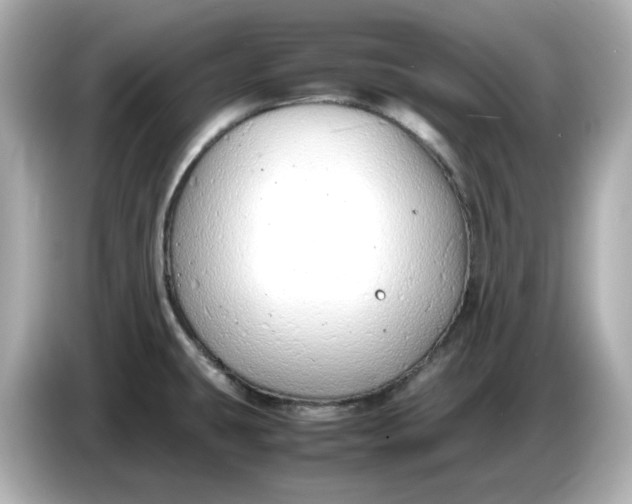 X0000086911431200704301028