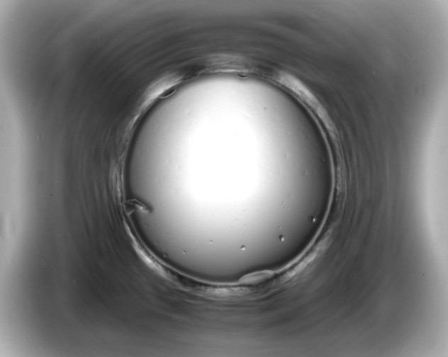 X0000086911433200704301028