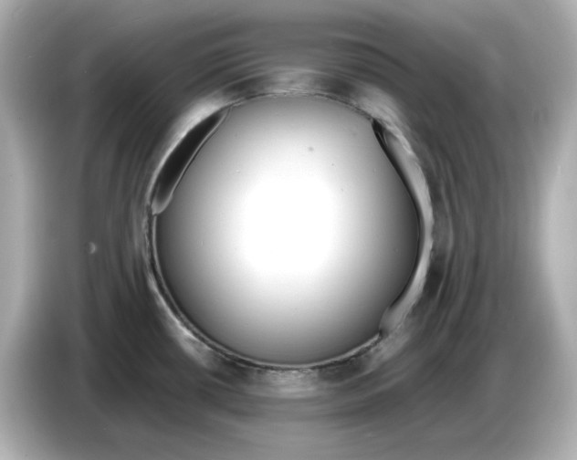 X0000086911434200704301028