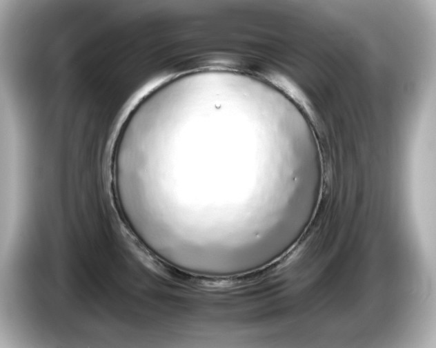 X0000086911435200704301028