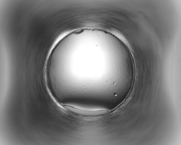 X0000086911440200704301028