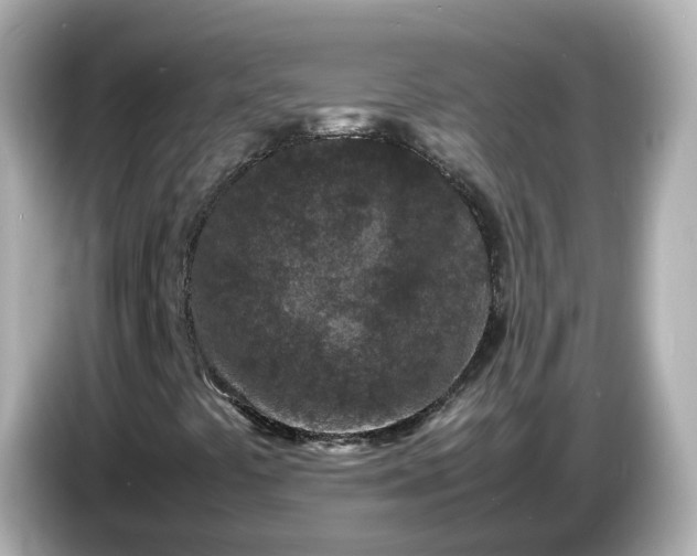 X0000086911441200704301027