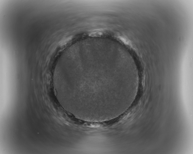 X0000086911445200704301027