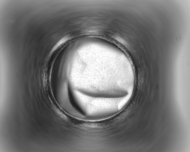 X0000086911450200704301027