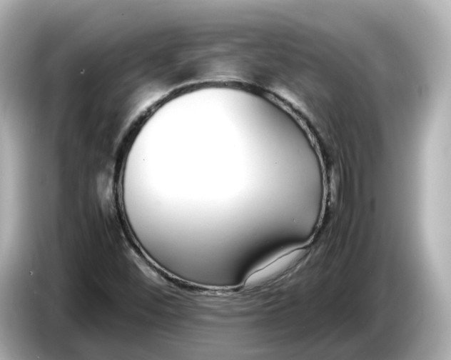 X0000086911452200704301027