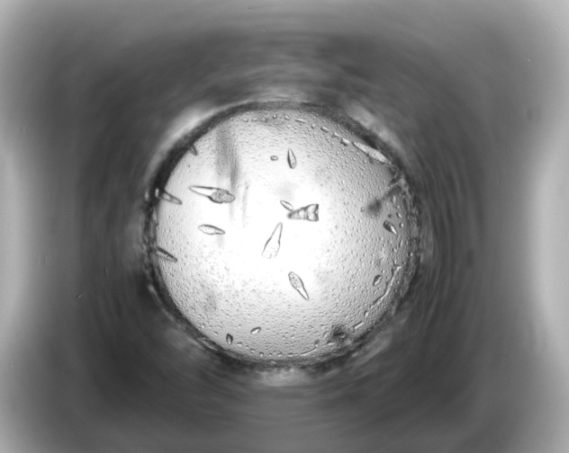 X0000086911454200704301027