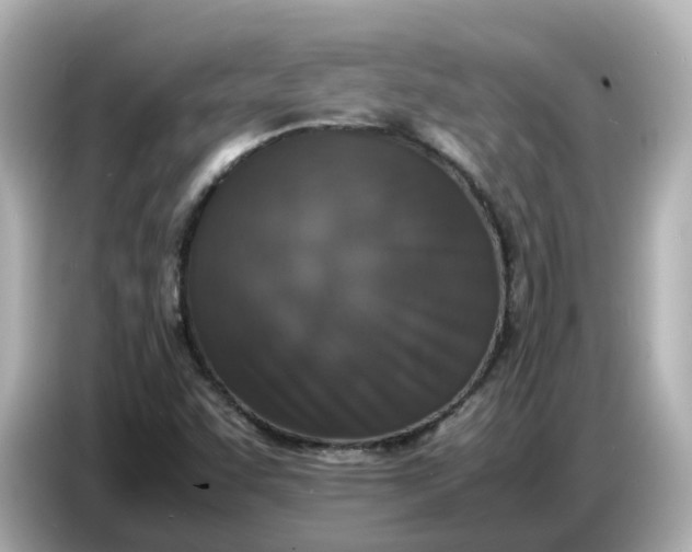 X0000086911455200704301027