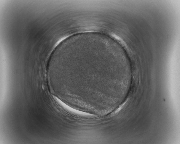 X0000086911457200704301027