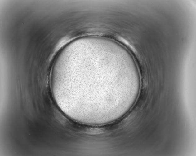 X0000086911459200704301027