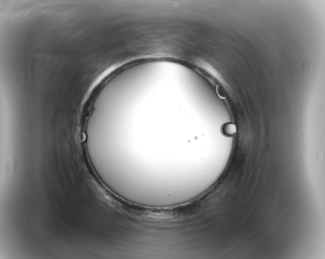 X0000086911460200704301027