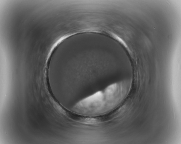 X0000086911463200704301027