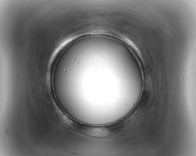 X0000086911464200704301027