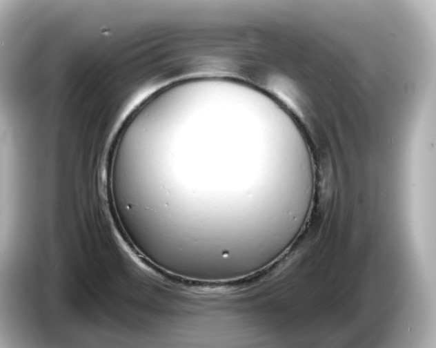 X0000086911468200704301027