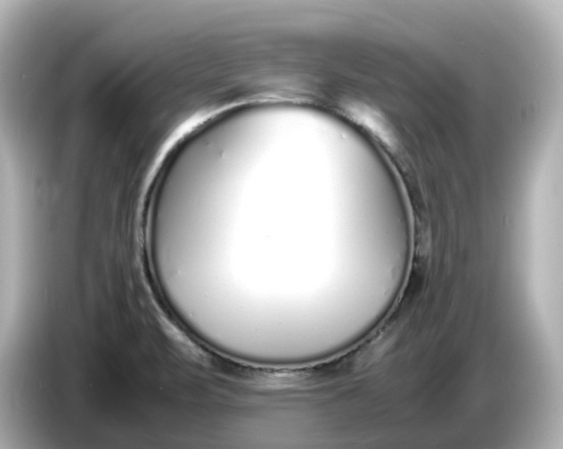 X0000086911471200704301027