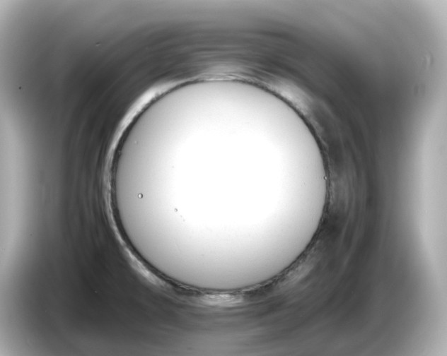 X0000086911478200704301027