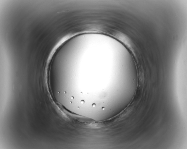 X0000086911480200704301027