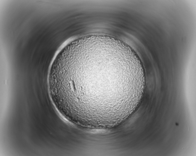 X0000086911482200704301027