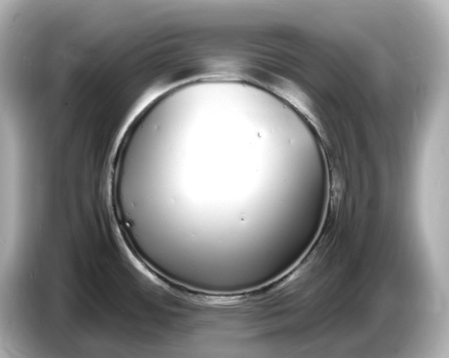 X0000086911484200704301027