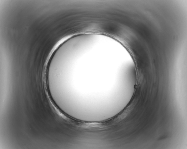 X0000086911486200704301027