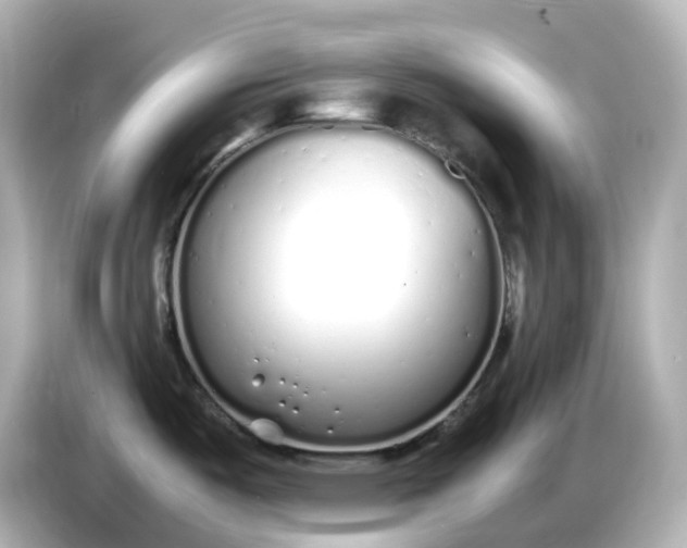 X0000086911487200704301027