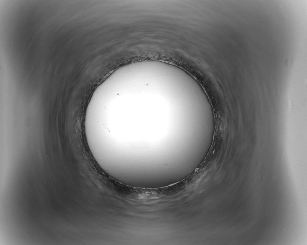 X0000086911489200704301026