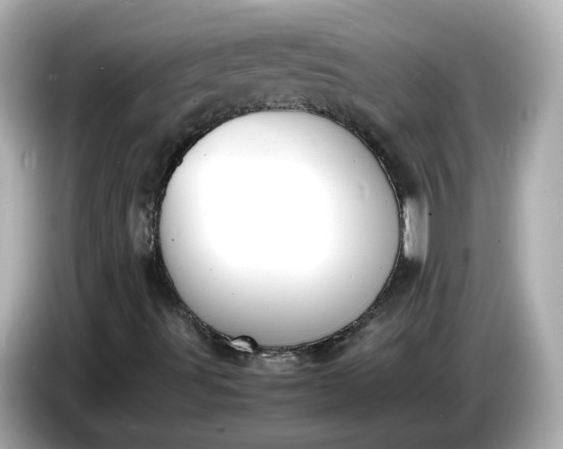 X0000086911491200704301026