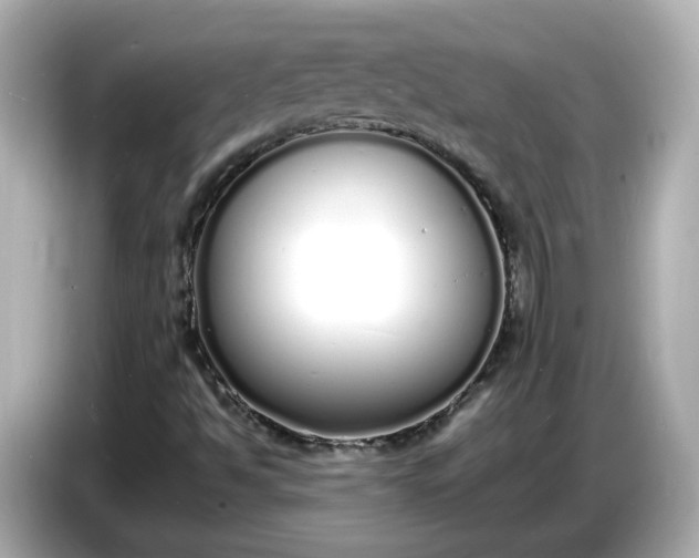 X0000086911494200704301026