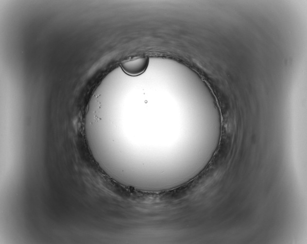 X0000086911495200704301026