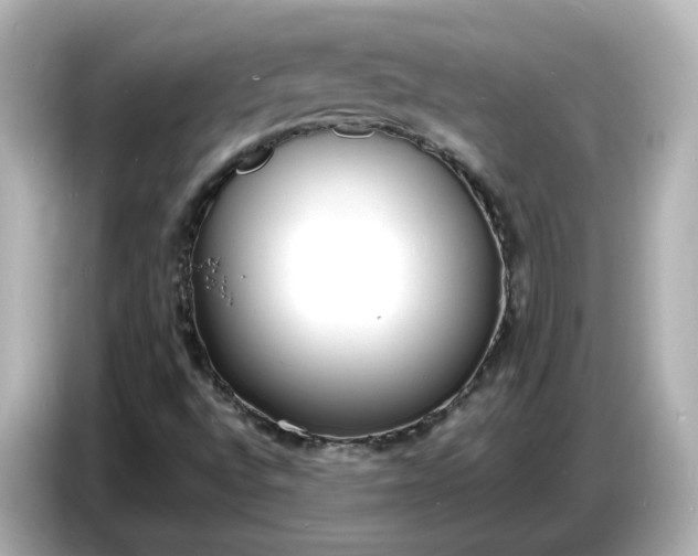 X0000086911496200704301026